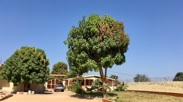 Afrikaya Nursery School 1